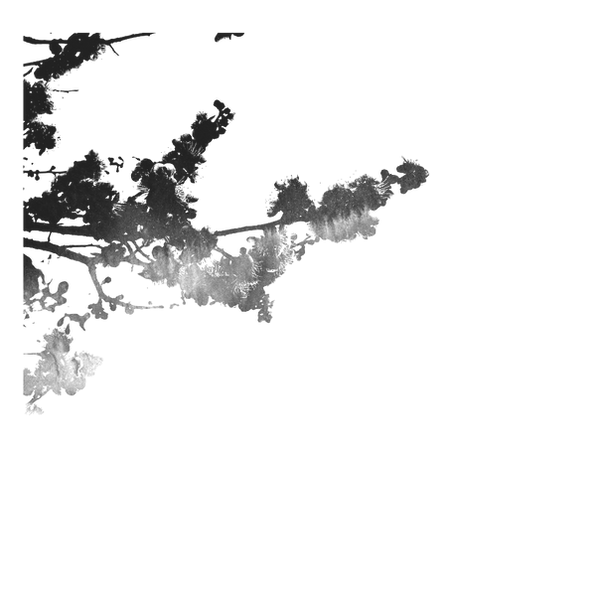 Untitled design_clipped_rev_1_edited.png